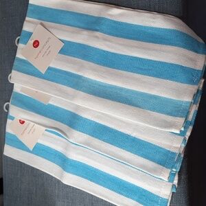 Towel Aqua Blue White Striped Cotton Kitchen Dish Hand Set Three Spring NWT